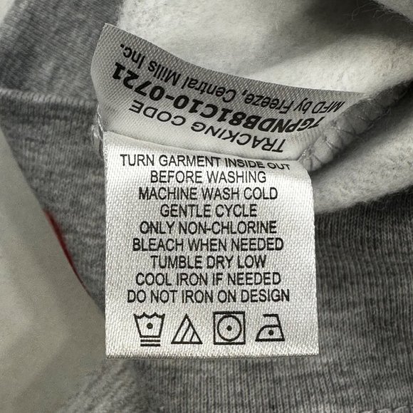 Peanuts Baby Size 3-6 Month Woodstock Long Sleeve Sweatshirt Gray New With Tags - Picture 6 of 14